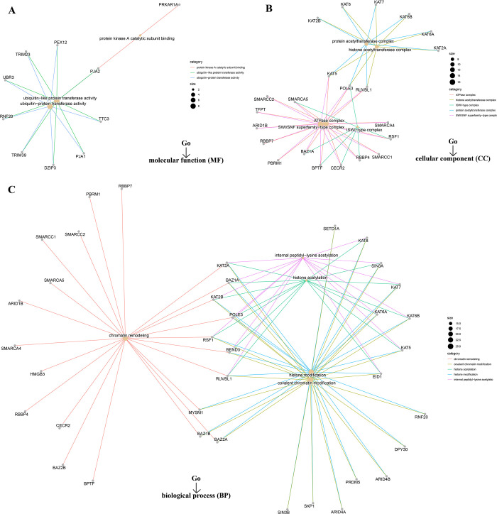 PMC9488775 – pone.0274823.g014