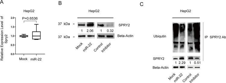PMC9904474 – pone.0281536.g002