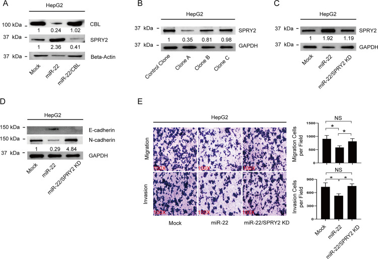 PMC9904474 – pone.0281536.g003