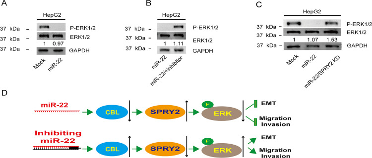 PMC9904474 – pone.0281536.g004