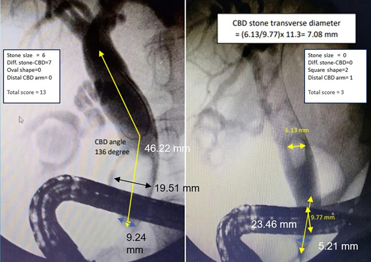 PMC10019717 – pone.0282899.g004