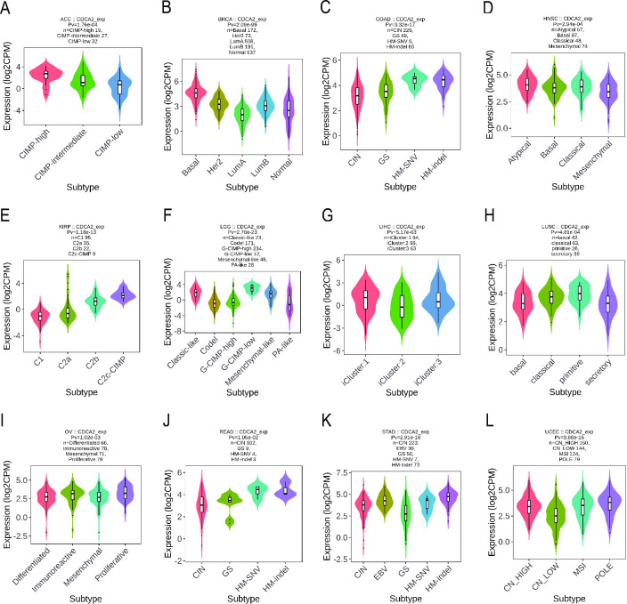 PMC10513342 – pone.0291024.g003