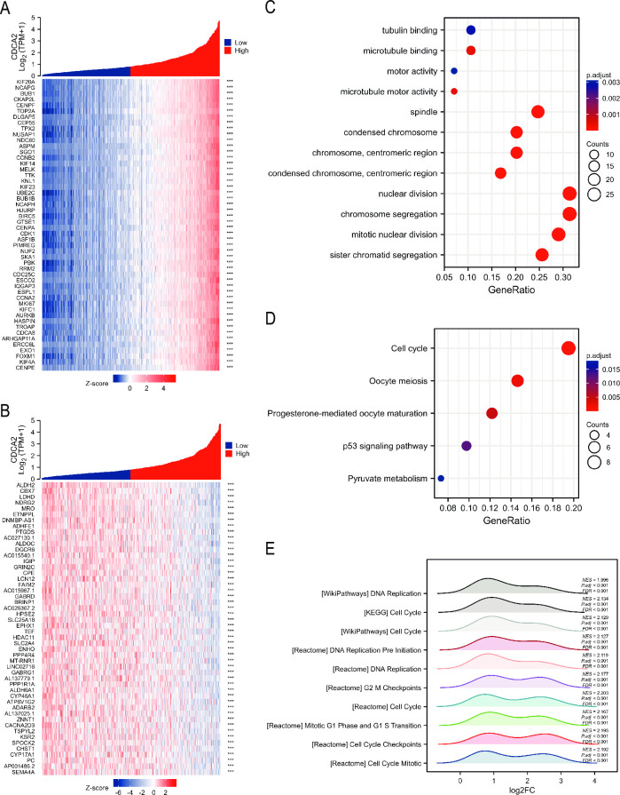 PMC10513342 – pone.0291024.g008