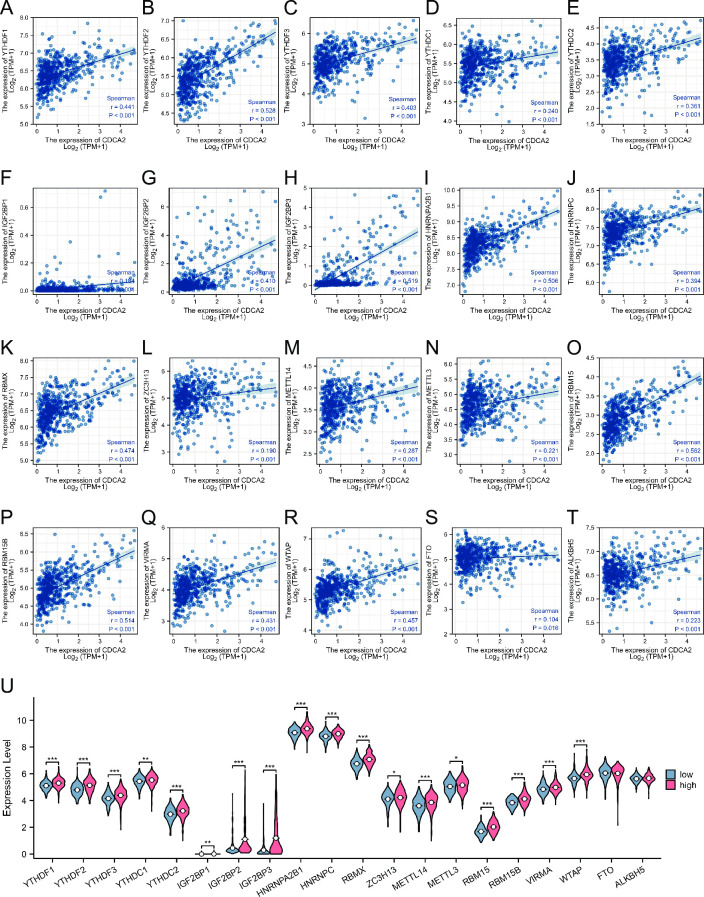 PMC10513342 – pone.0291024.g011