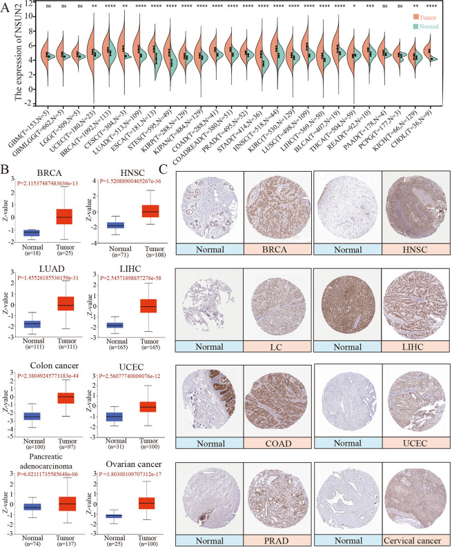 PMC10538670 – pone.0292212.g001