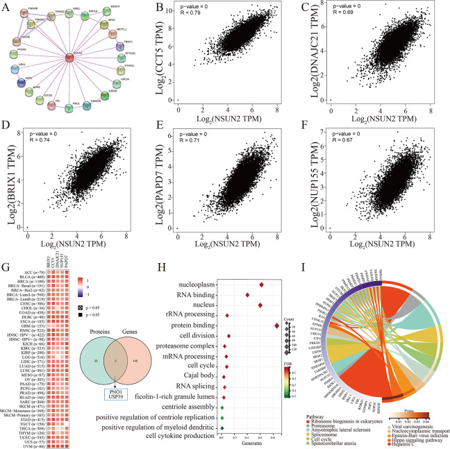 PMC10538670 – pone.0292212.g006