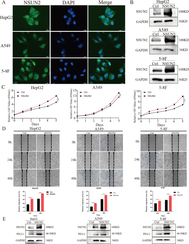 PMC10538670 – pone.0292212.g008