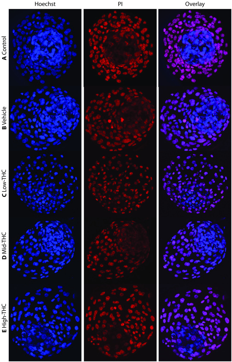 PMC10971525 – pone.0298697.g005
