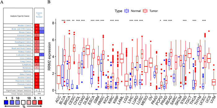 PMC11025932 – pone.0299949.g001