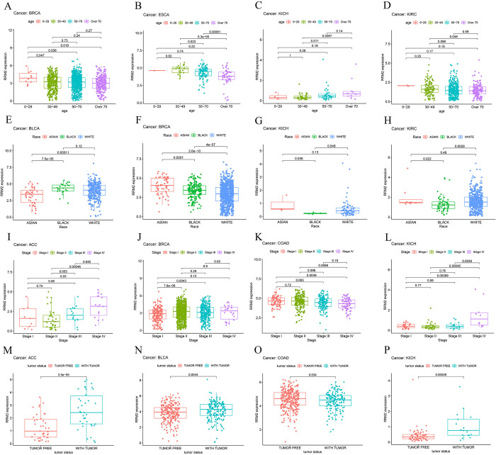 PMC11025932 – pone.0299949.g002