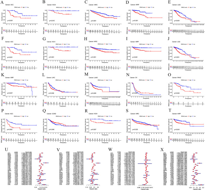 PMC11025932 – pone.0299949.g003