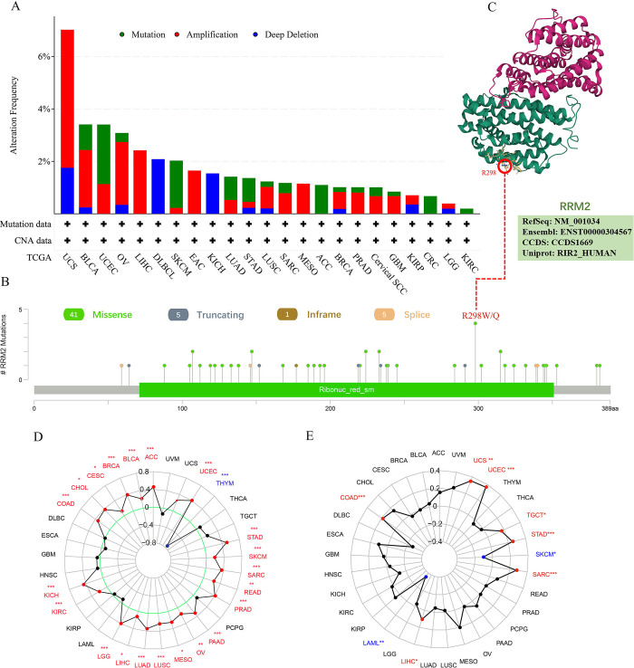 PMC11025932 – pone.0299949.g004