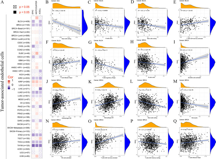 PMC11025932 – pone.0299949.g005