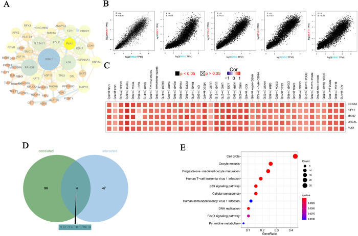 PMC11025932 – pone.0299949.g007