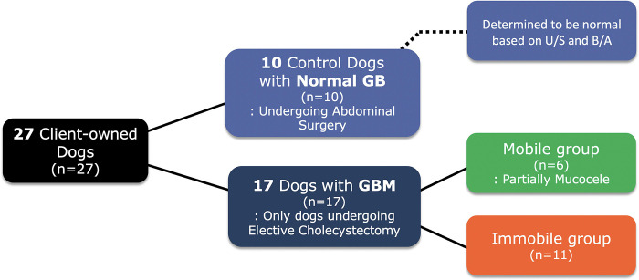 PMC11111041 – pone.0300395.g001