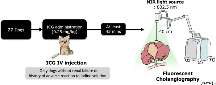 PMC11111041 – pone.0300395.g002