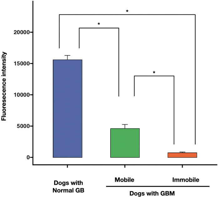 PMC11111041 – pone.0300395.g005