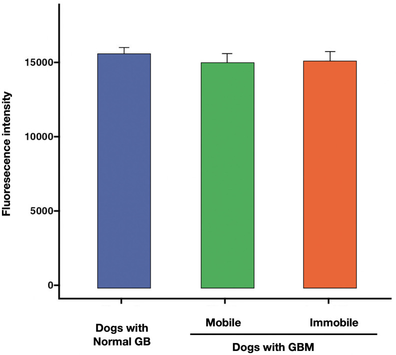 PMC11111041 – pone.0300395.g006