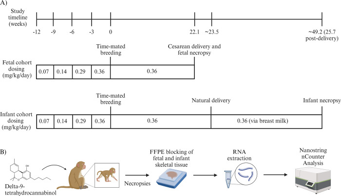 PMC11290632 – pone.0306868.g001