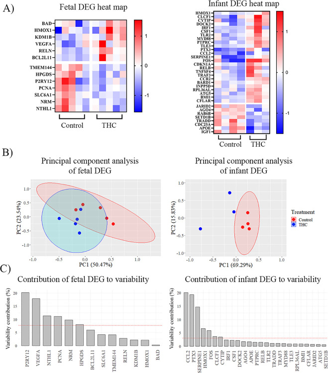 PMC11290632 – pone.0306868.g002