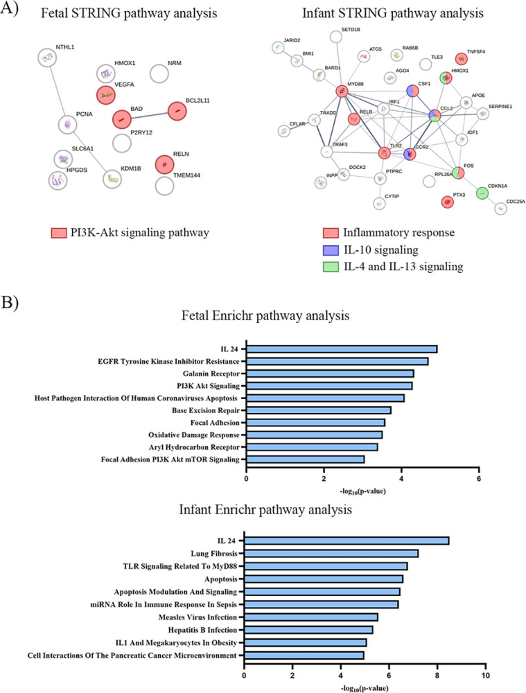 PMC11290632 – pone.0306868.g003