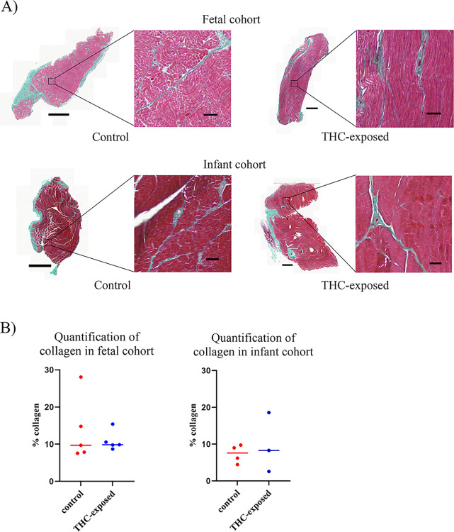 PMC11290632 – pone.0306868.g004