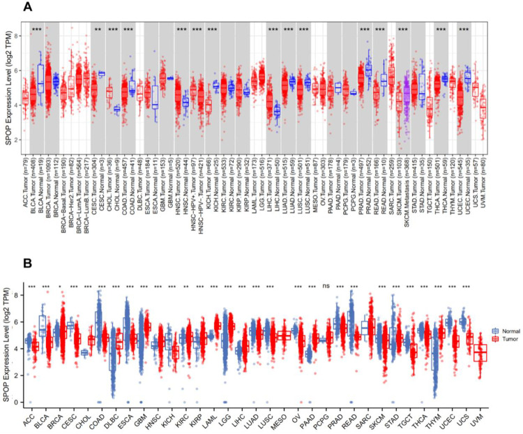 PMC11285963 – pone.0306994.g001