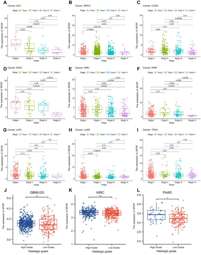 PMC11285963 – pone.0306994.g002