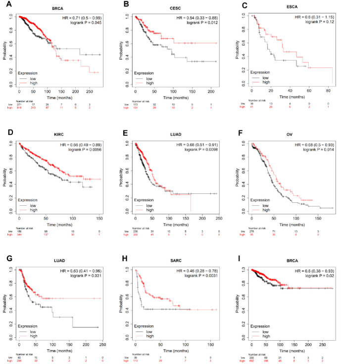 PMC11285963 – pone.0306994.g003