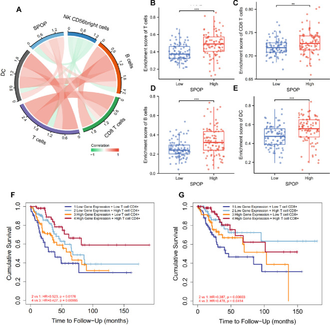 PMC11285963 – pone.0306994.g007