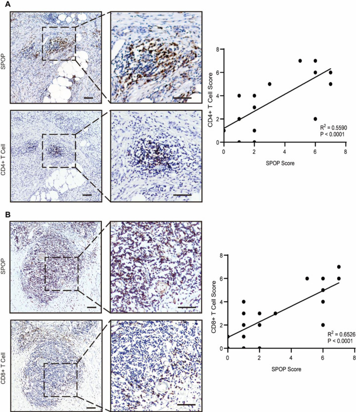 PMC11285963 – pone.0306994.g009
