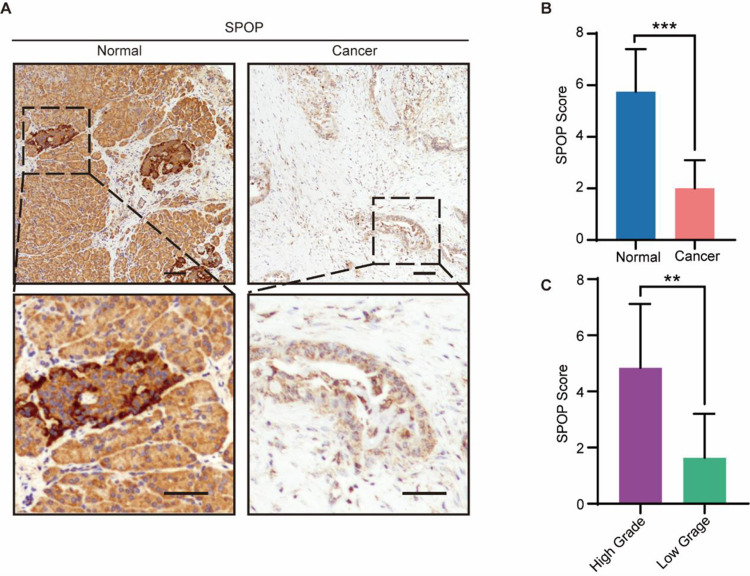 PMC11285963 – pone.0306994.g010