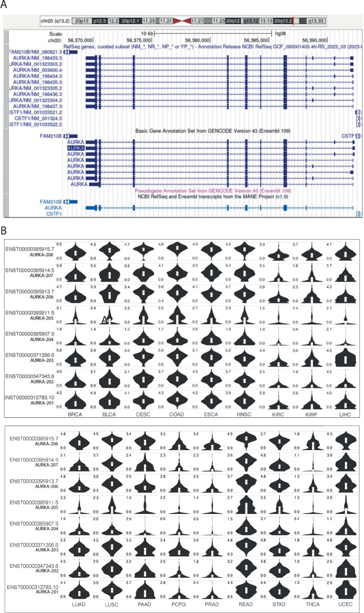 PMC11554201 – pone.0310625.g005