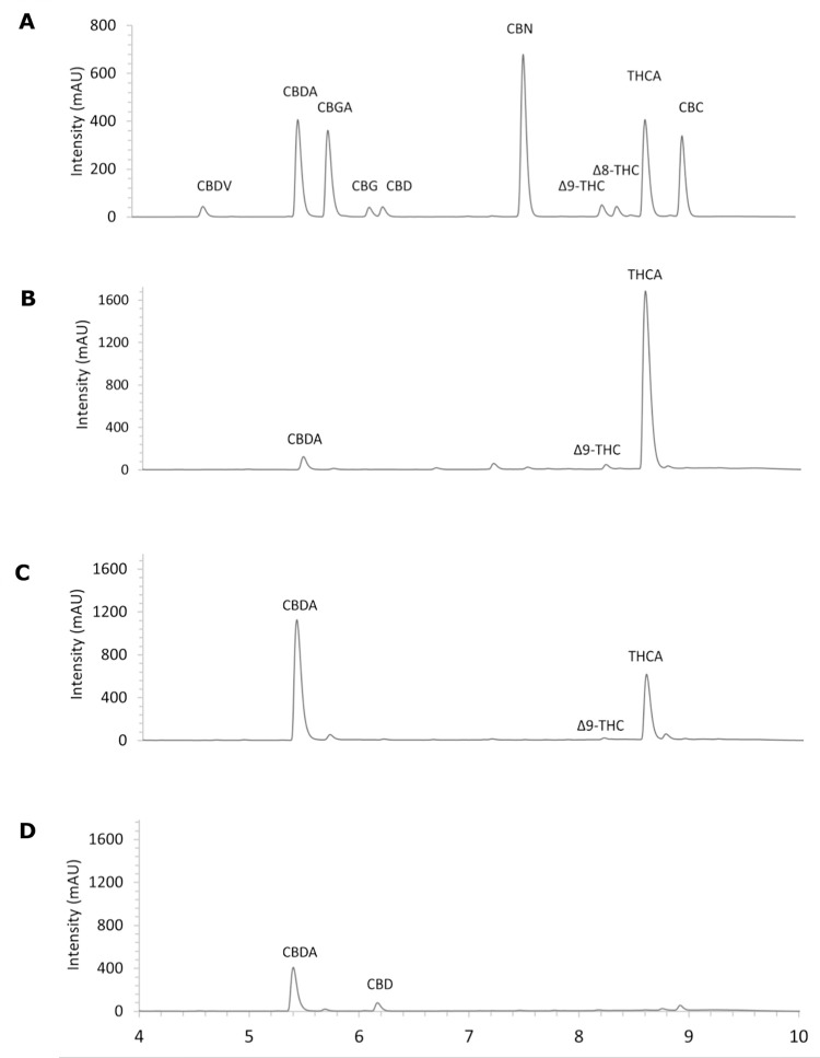 PMC11661628 – pone.0310777.g001