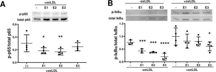 PMC11661628 – pone.0310777.g007