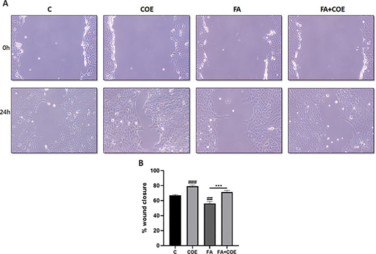 PMC11637346 – pone.0311790.g002