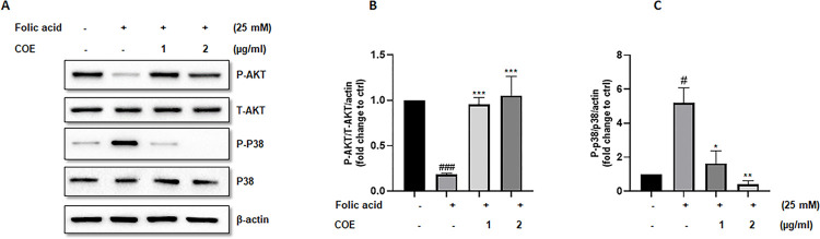 PMC11637346 – pone.0311790.g003