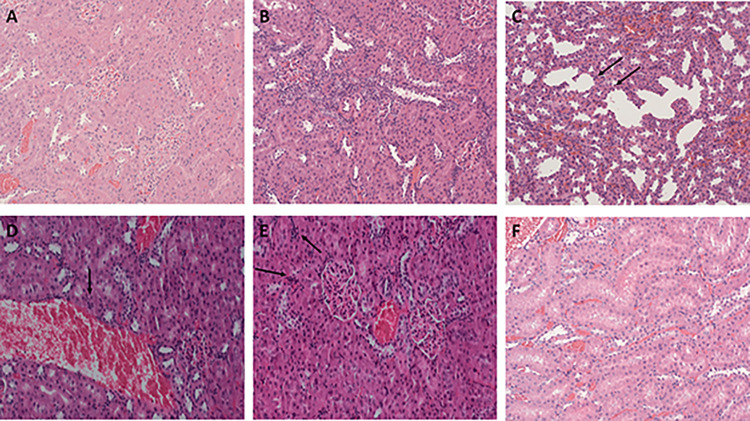PMC11637346 – pone.0311790.g007