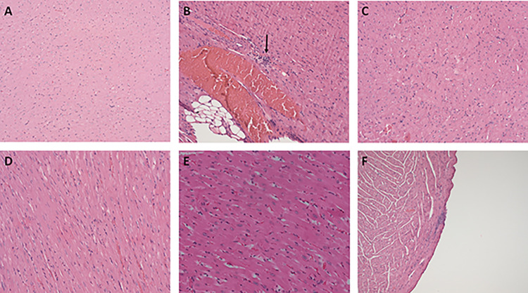 PMC11637346 – pone.0311790.g008