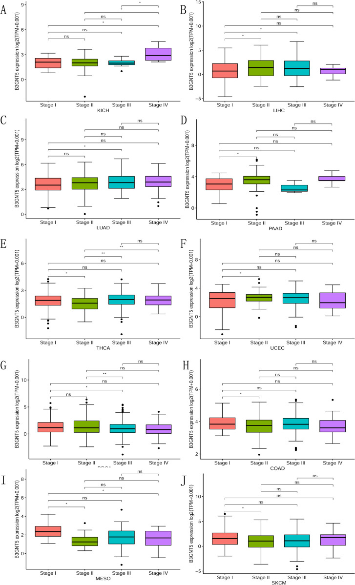 PMC11642946 – pone.0314609.g002