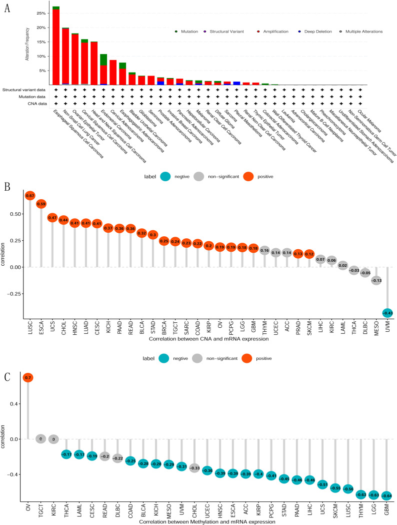 PMC11642946 – pone.0314609.g003