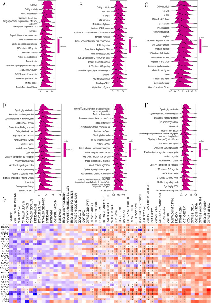 PMC11642946 – pone.0314609.g005