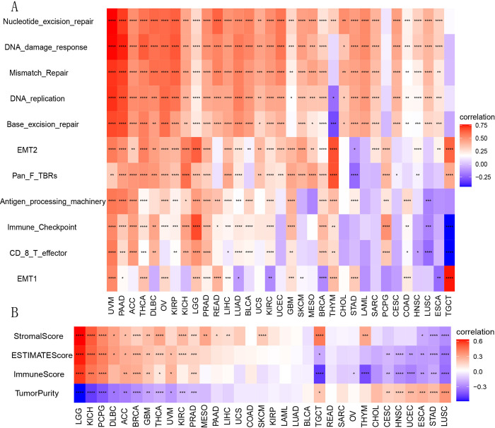 PMC11642946 – pone.0314609.g006