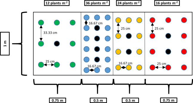 PMC11684660 – pone.0315951.g001