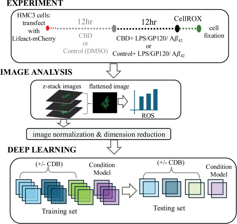 PMC11936260 – pone.0320219.g001