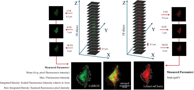 PMC11936260 – pone.0320219.g002