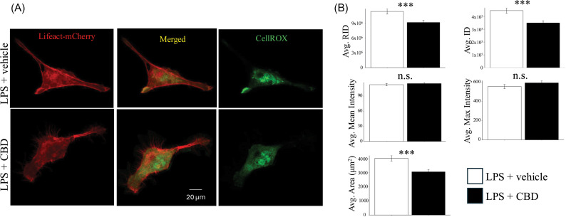 PMC11936260 – pone.0320219.g003