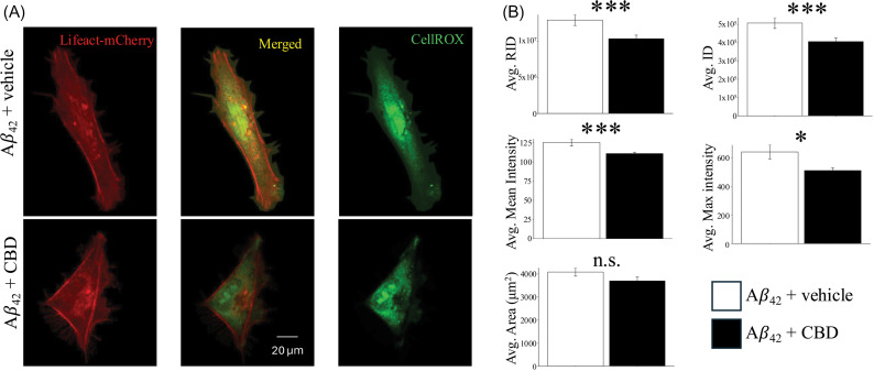 PMC11936260 – pone.0320219.g004