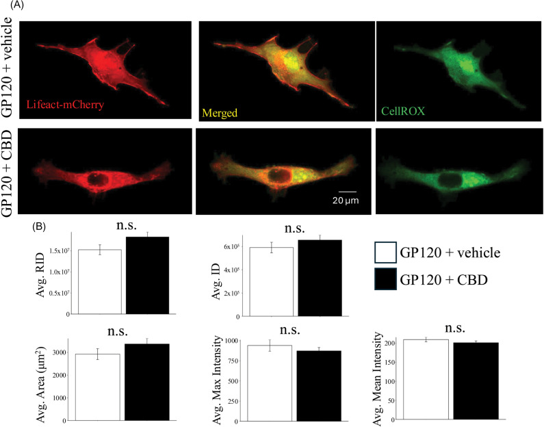 PMC11936260 – pone.0320219.g005