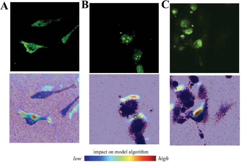 PMC11936260 – pone.0320219.g009